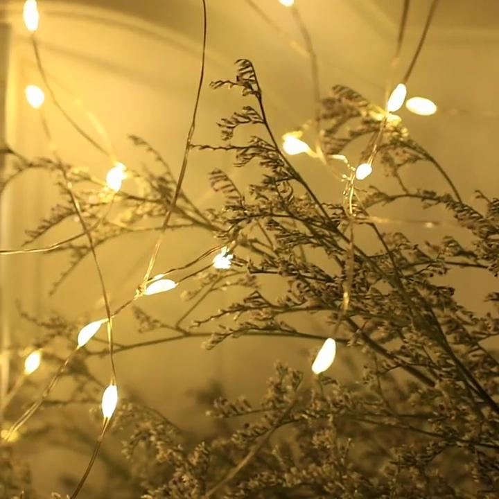 Christmas Copper Wire Led String With Battery Box And Manual Switch For Holiday Decorations