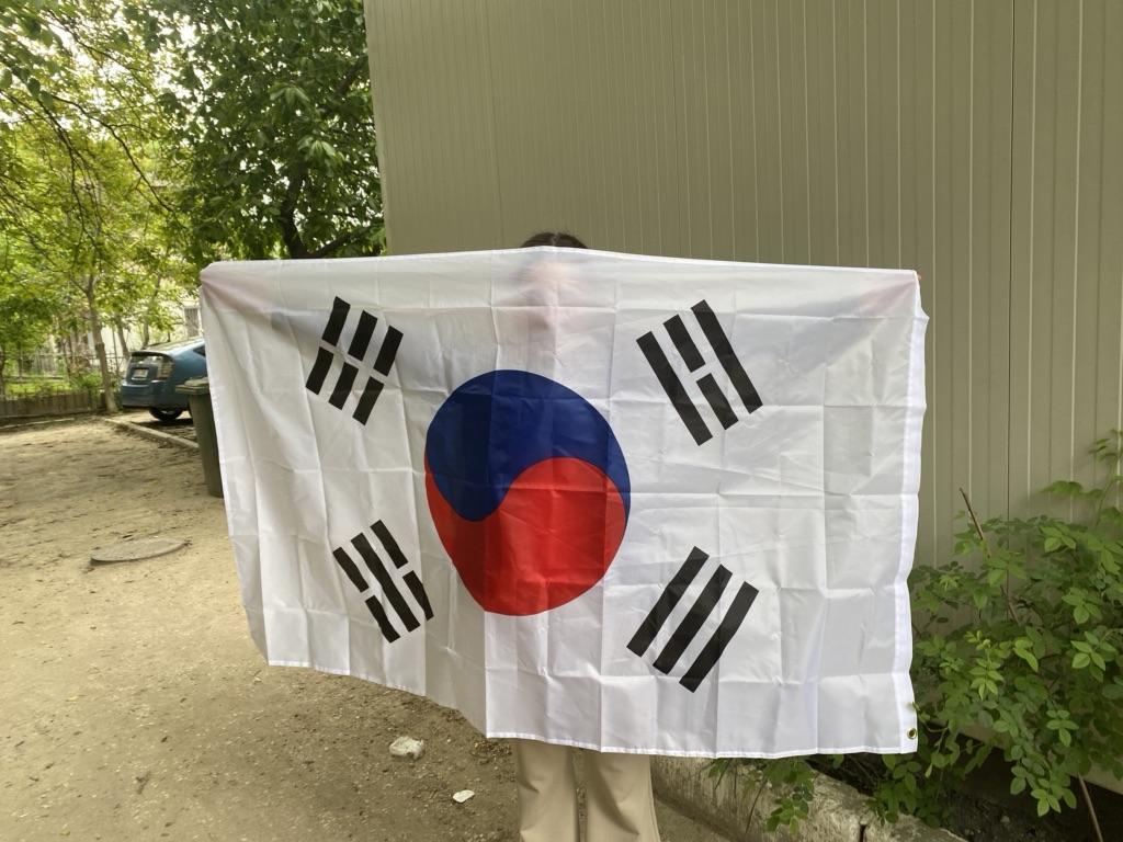 Bandiera della corea del sud. colorata bandiera della corea del sud che