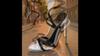 Pesstwei New Fashion  Buckle Strap Women Sandals Summer Sexy Open Toe Thin High Heels Party Striptease Female Shoes