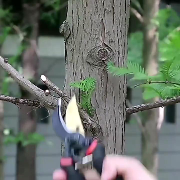 Multifunctional Garden Pruning Tool Heavy-Duty Sharp Manual Trimmer Professional and Durable Plant Pruning Scissors for Thick Branches