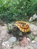 Realistischer Schildkröten-Sukkulenten-Pflanztopf mit Drainageloch. Langlebiges Harz, Vintage-Design. Perfektes Geschenk für Pflanzenliebhaber!