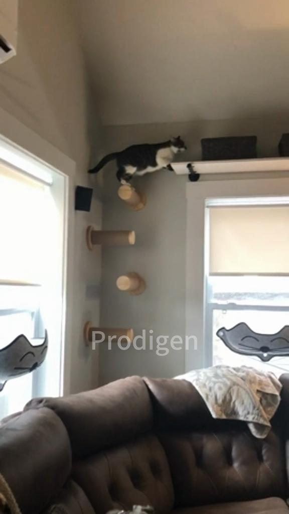 1 Piece Wall Mounted Cat Scratcher For Cat Climbing Post For Play Perch On the Wall