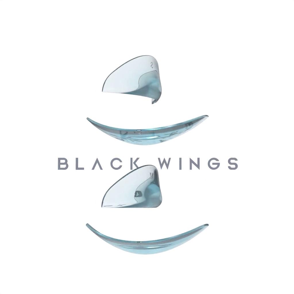 Lashlift Pads Blackwings 2 Paar 2Größen Silikon Wimpern Lift Pad