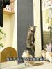 Self-Adhesive Cat Scratch Pad Durable Stick-On Wall Sofa Furniture Protector Anti-Scratch Cut-to-Fit Pet Climbing Mat Carpet