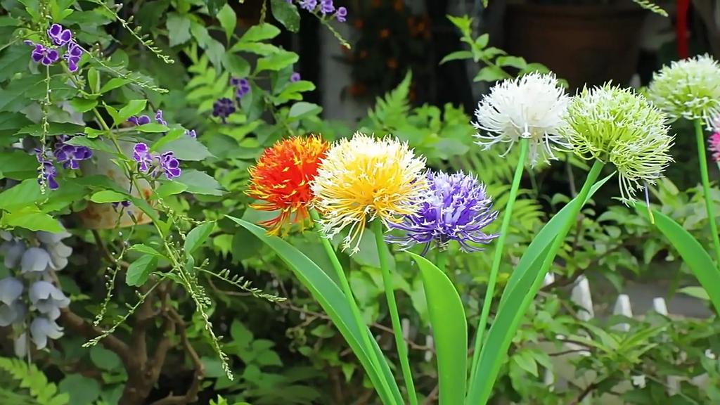 Solar Garden Lights,1Packs Multicolor Solar Dandelion Flowers Lights Outdoor Garden Decor,Waterproof Solar Decorative Stakes Lights Gardening