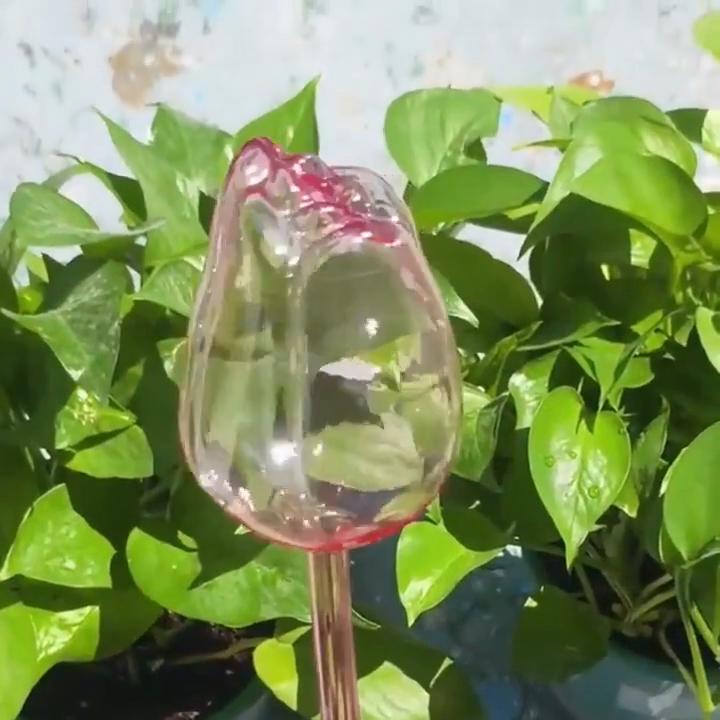 Zahradní růžové tulipány, zavlažovací koule, vhodné pro pokojové i venkovní rostliny, automatické kapkovače pro rostliny a automatické zavlažování