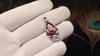 Pink Tourmaline Gemstone 925 Sterling Silver Designer Pendant 1.5" Gift For Mother PP-70-12
