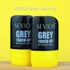 Hair Dye Stick With Comb SEVICH Temporary Waterproof Hair Coloring Pen Disposable Hair Root Concealer Stick Grey Touch Up Stick