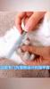 Easy Pet Beauty: Effortless Nail Clippers for Dogs and Cats,Free Rasp Included