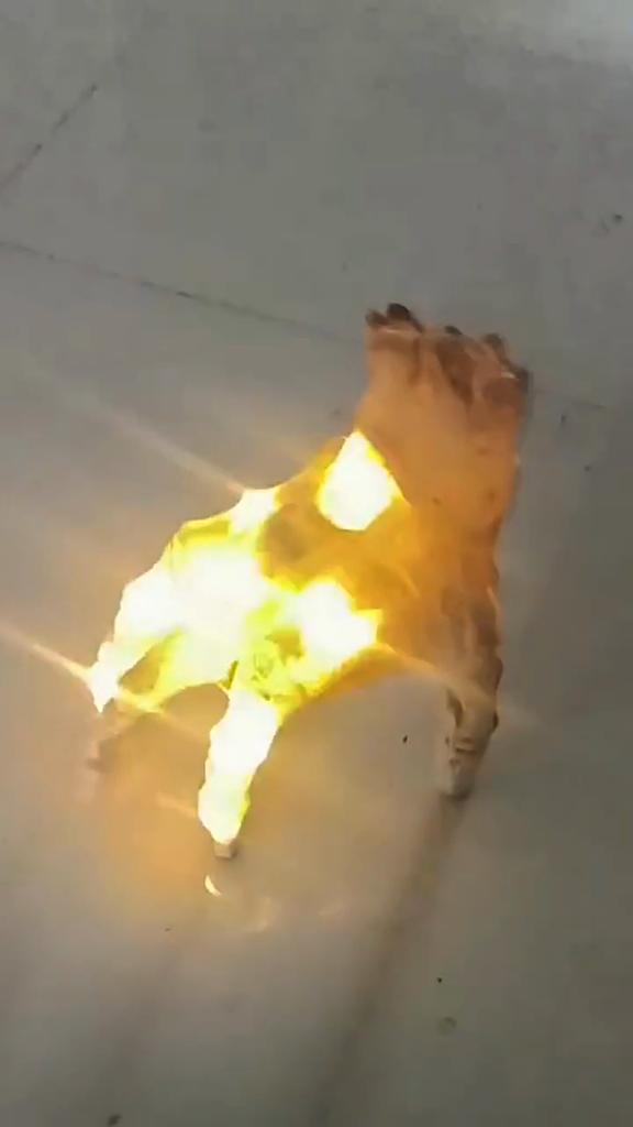 Halloween Electric Crawling Zombie Hand with Lights Spooky Sound ,Motion Sensor Animated Prop for Indoor Outdoor Decorations, Battery Operated