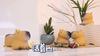 Squeeze Stress Relief Toys Capybara Fidget Toy Pop Out Toy, Sensory Toys for ADHD, Autism - Stress Toy for Birthday Gifts