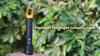 9 Modes LED Flashlight Powerful Zoom Camping Lantren Aluminum Alloy Torch Tactical Outdoor Light with Hooks USB Rechargeable