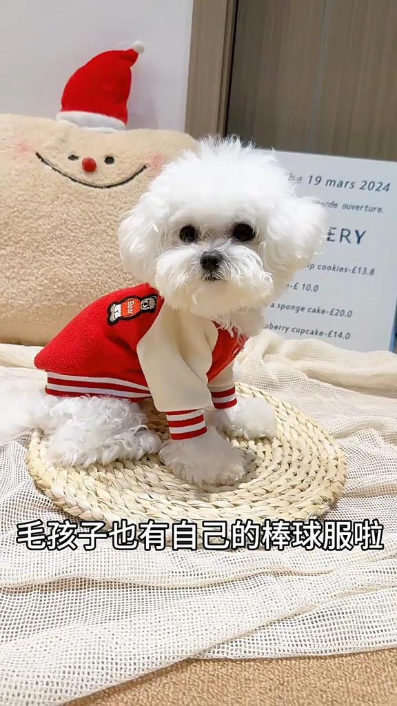 Pet Autumn Jacket Fleece Lined Warm Dog Cat Clothing Thermal Windproof Outerwear Small Animal Coat Winter Apparel for Pets