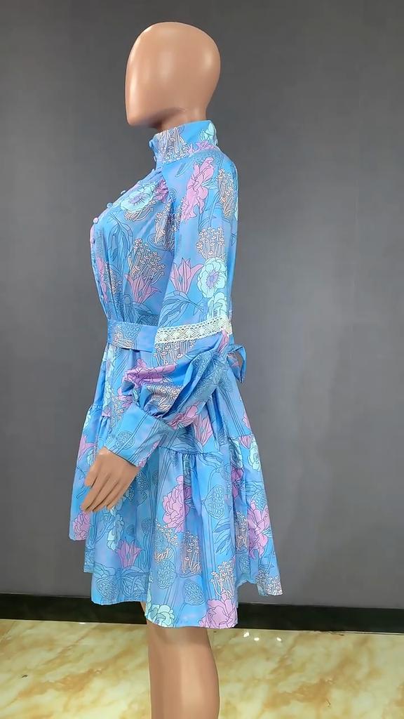 Plus Size Spring and Autumn Women Dress Fashion Temperament High Collar Swing Printed Shirt Dresses