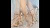 Eilyken Summer Band Buckle Strap Women Sandals Toe Thin High Heels Stripper Shoes Size 35-42