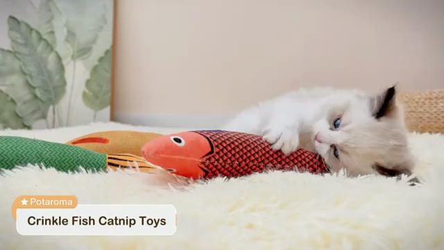 Brinquedo para gatos Catnip 3D Simulação Peixe Peixe Dourado Brinquedos para gatinhos Pillowfish Interativo Som Gato Mastigação Mordida Brinquedos de pelúcia Suprimentos para gatos