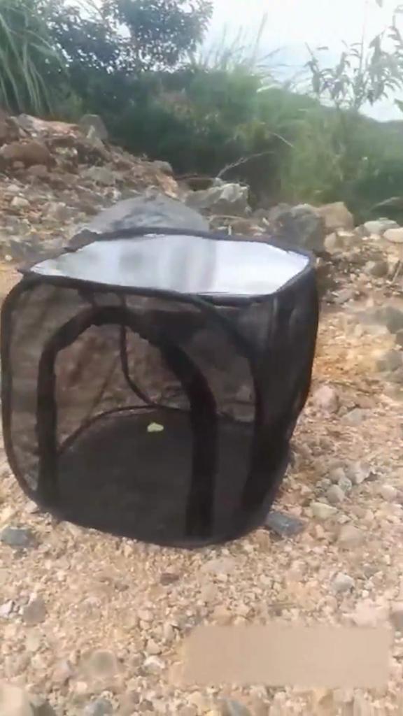 Jaula plegable para insectos, jaula perfecta para mariposas, incubadora de poliéster plegable para el hogar