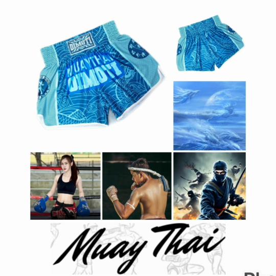 Ocean Dragon Ninja Muay Thai Kickboxing Boxing MMA UFC Casual Shorts Gym Sport Unisex Men Women Workout Quick Dry Print Elastic High Waist Training