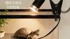 Pet Tortoise UVB Full Spectrum Sunlamp Warming Basking UVA Heat Lamp Bracket EU 220V E27