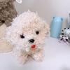 Plush Bichon Frise Dog Toy With Pp Cotton Filling For Kids And Collectors