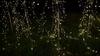 Outdoor LED Firework Christmas Decor Solar Lights Waterproof Garden Party Fairy Solar Lights for Landscape Lawn Pathway Patio
