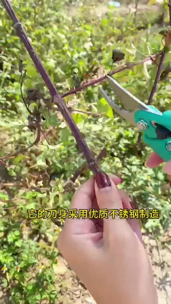 Pruner Orchard Garden Shears Hand Tools Bonsai For Scissors Gardening Machine Chopper Pruning Shears Brush Cutter Professional