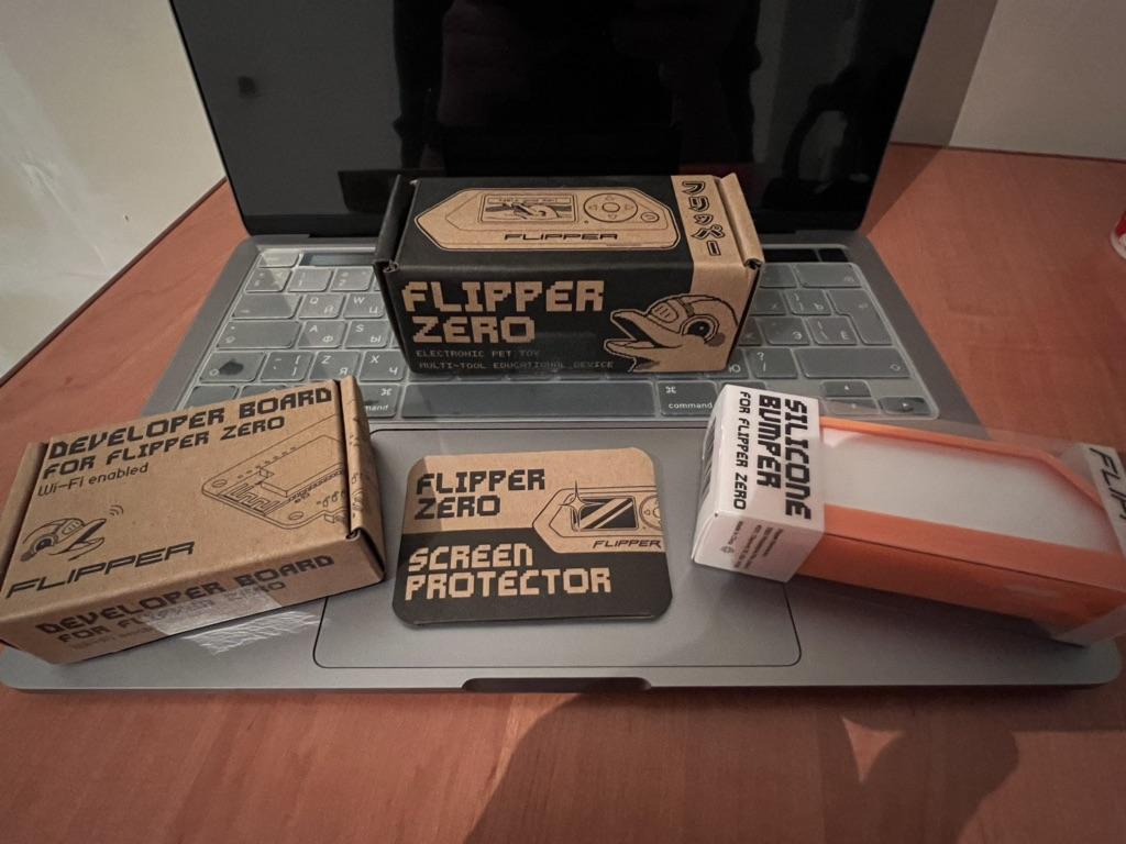 Buy Flipper Zero WiFi Devboard at affordable prices — free shipping